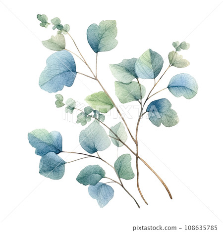 Watercolor leaves and branches illustration transparent background, PNG ,Generative AI 108635785