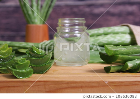 Fresh Raw Aloe Vera on Table After Harvest 108636088