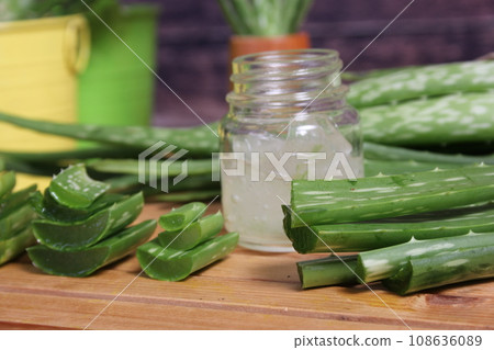 Fresh Raw Aloe Vera on Table After Harvest 108636089
