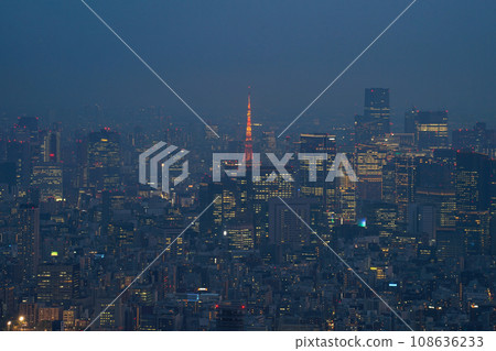 Night view of Tokyo city in Japan Night view of Tokyo city in Japan 108636233