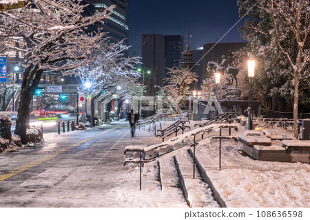 《東京》大雪中的東京，雪中的千鳥淵 108636598