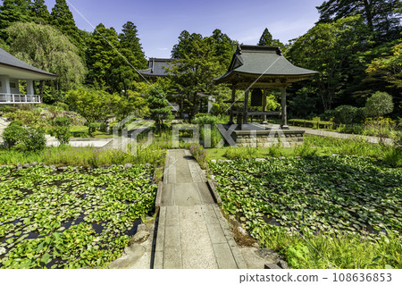 Joetsu Rinsenji Temple Precincts Joetsu City, Niigata Prefecture Joetsu Rinsenji Temple Precincts Joetsu City, Niigata Prefecture 108636853