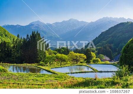 (Nagano Prefecture) Hakuba village, Aoni village rice terraces and the Northern Alps with lingering snow, afternoon (Nagano Prefecture) Hakuba village, Aoni village rice terraces and the Northern Alps with lingering snow, afternoon 108637267