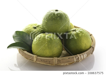 來自和歌山縣北山村的幻果 Jabara，白色背景 108637575