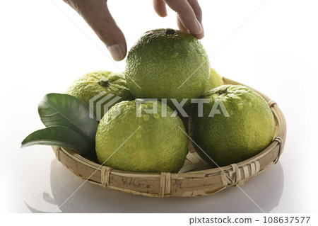 來自和歌山縣北山村的幻果 Jabara,白色背景 來自和歌山縣北山村的幻果 Jabara,白色背景 108637577