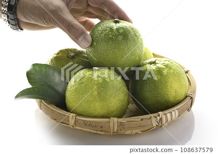 來自和歌山縣北山村的幻果 Jabara,白色背景 來自和歌山縣北山村的幻果 Jabara,白色背景 108637579