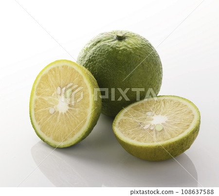 Phantom fruit Jabara from Kitayama Village, Wakayama Prefecture, white background Phantom fruit Jabara from Kitayama Village, Wakayama Prefecture, white background 108637588