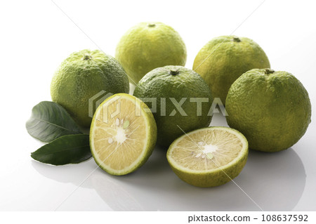 Phantom fruit Jabara from Kitayama Village, Wakayama Prefecture, white background Phantom fruit Jabara from Kitayama Village, Wakayama Prefecture, white background 108637592