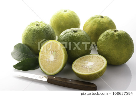 來自和歌山縣北山村的幻果 Jabara，白色背景 108637594