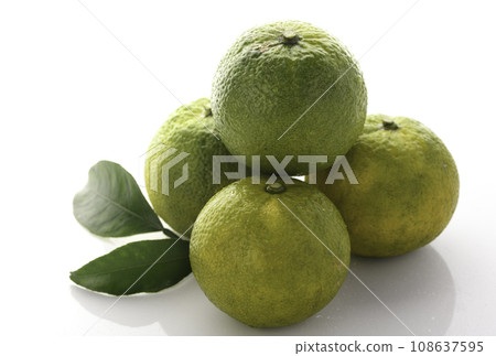 Phantom fruit Jabara from Kitayama Village, Wakayama Prefecture, white background Phantom fruit Jabara from Kitayama Village, Wakayama Prefecture, white background 108637595