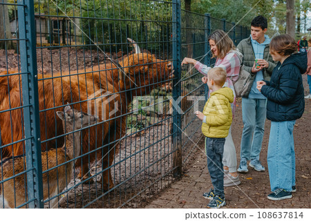 Family with child in zoo feeds buffalo. Happy family, young mother with three children, cute laughing toddler boy and a teen age girl and boy feeding buffalo during a trip to a city zoo on a hot Family with child in zoo feeds buffalo. Happy family, young mother with three children, cute laughing toddler boy and a teen age girl and boy feeding buffalo during a trip to a city zoo on a hot 108637814