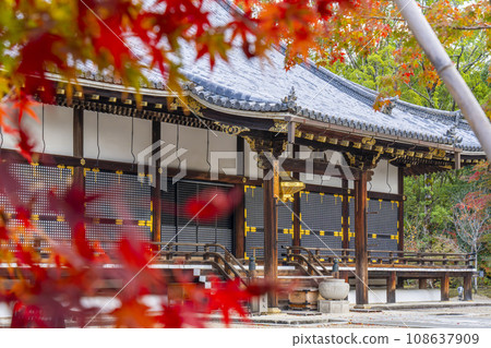 仁和寺、紅葉環繞的近堂(京都市右京區) 仁和寺、紅葉環繞的近堂(京都市右京區) 108637909