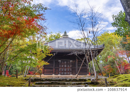 Ninnaji Temple, a sutra storehouse visited during the autumn leaves season (Ukyo Ward, Kyoto City) 108637914