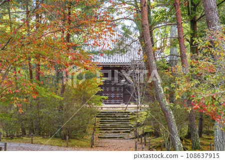 Ninnaji Temple, a sutra storehouse visited during the autumn leaves season (Ukyo Ward, Kyoto City) Ninnaji Temple, a sutra storehouse visited during the autumn leaves season (Ukyo Ward, Kyoto City) 108637915