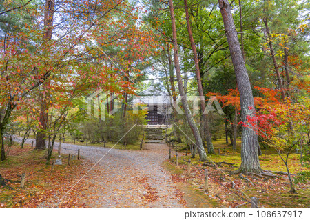 Ninnaji Temple, a sutra storehouse visited during the autumn leaves season (Ukyo Ward, Kyoto City) 108637917
