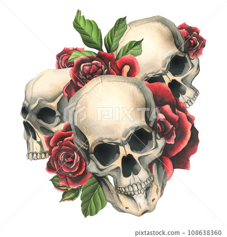 Human skulls with red roses and leaves. Hand drawn watercolor illustration. Isolated composition on a white background 108638360
