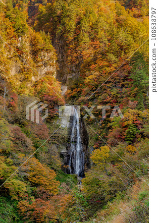 白山白川鄉白路白高瀑布秋葉 108638797