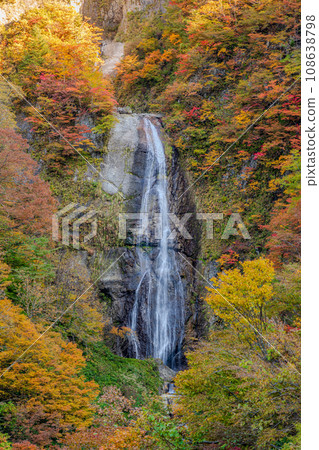 白山白川鄉白路白高瀑布秋葉 108638798