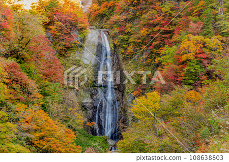白山白川鄉白路白高瀑布秋葉 108638803