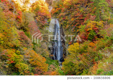 白山白川鄉白路白高瀑布秋葉 108638806