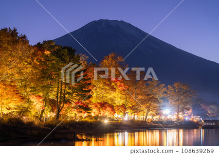 [Yamanashi Prefecture] Mt. Fuji and autumn leaves illumination/Lake Yamanaka shore 108639269