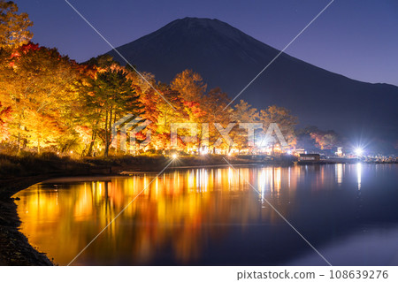 [Yamanashi Prefecture] Mt. Fuji and autumn leaves illumination/Lake Yamanaka shore 108639276