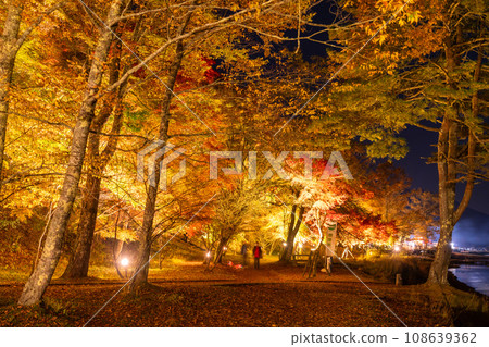[山梨縣] 山中湖紅葉燈飾/旭丘湖畔綠地公園 108639362