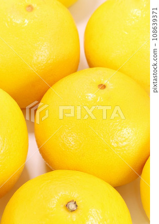 Tosa pomelo large citrus fruits multiple bright background 108639371