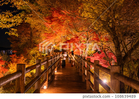 [山梨縣] 山中湖紅葉燈飾/旭丘湖畔綠地公園 108639489