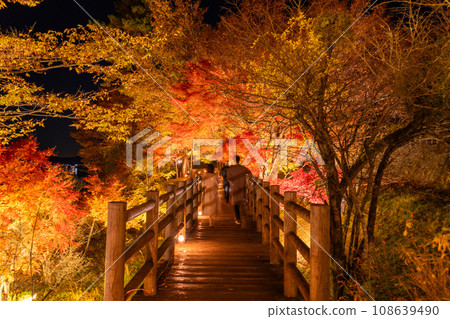 [Yamanashi Prefecture] Lake Yamanaka Autumn Foliage Illumination/Asahigaoka Lakeside Green Park 108639490