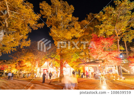[山梨縣] 山中湖紅葉燈飾/旭丘湖畔綠地公園 108639559