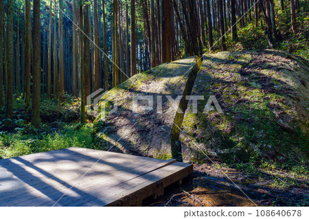 [奈良縣]奈良市柳生一關（2023年10月26日拍攝） 108640678