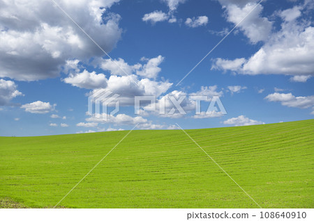 Hokkaido Biei Hill (blue sky and grassland) Hokkaido Biei Hill (blue sky and grassland) 108640910