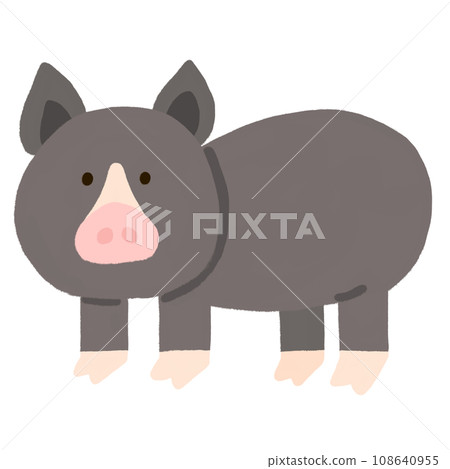 黑豬 黑豬 108640955