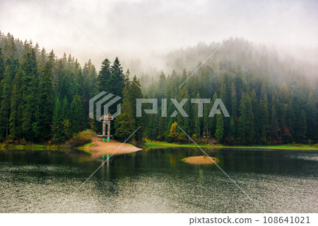 autumn landscape with lake. foggy weather in fall season. mist above the spruce trees on the shore 108641021