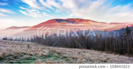 panorama of misty autumn at sunrise in mountains. scenery with leafless trees on the grassy hill in hoarfrost. rural landscape beneath a blue sky with clouds in morning light panorama of misty autumn at sunrise in mountains. scenery with leafless trees on the grassy hill in hoarfrost. rural landscape beneath a blue sky with clouds in morning light 108641022