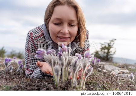 Dream grass woman spring flower. Woman lies on the ground and hugs flowers pasqueflower or Pulsatilla Grandis flowers 108642013