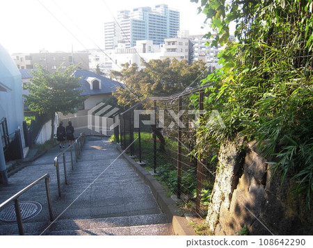 Landscape photo Motomachi Ferriszaka 108642290
