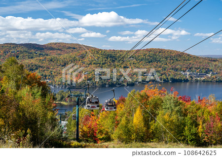 View surrounded by mountains of autumn leaves and cable car, Mont-Tremblant, Quebec, Canada View surrounded by mountains of autumn leaves and cable car, Mont-Tremblant, Quebec, Canada 108642625