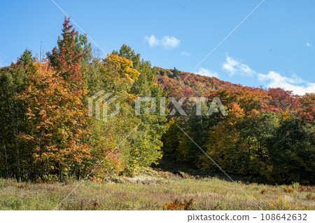Mountains with autumn leaves, Mont-Tremblant, Quebec, Canada 108642632