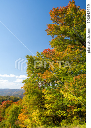 Landscape seen from the mountains in autumn leaves, Mont-Tremblant, Quebec, Canada 108642639