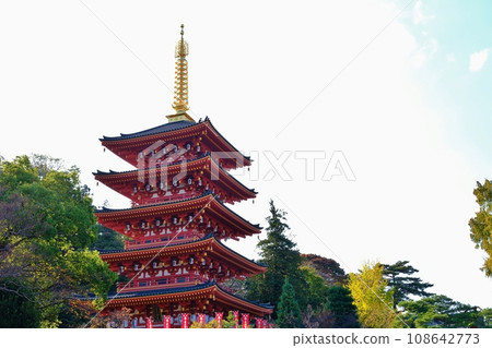 Takahata Fudoson Kingoji Five-storied寶塔 108642773