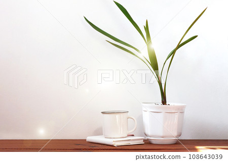 Date palm tree in white pot. Minimalistic home interior decor, urban jungle. Earth day, eco workspace house concept. Date palm tree in white pot. Minimalistic home interior decor, urban jungle. Earth day, eco workspace house concept. 108643039