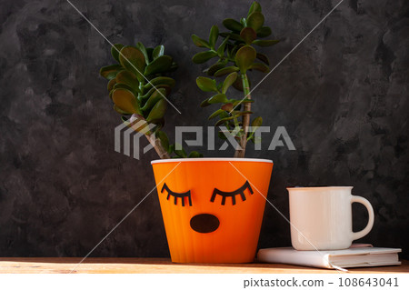 Succulent plant in orange pot. Creative reindeer with green horns in minimal style. Minimalistic home decor,urban jungle 108643041