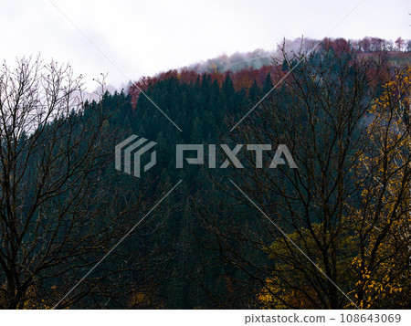 Village in Transcarpathia region scenic Carpathian mountains view Ukraine Europe Autumn countryside landscape Recreation 108643069