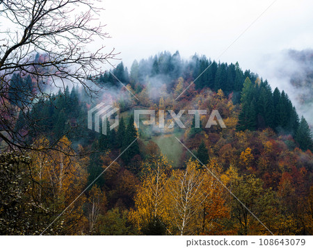 Village in Transcarpathia region scenic Carpathian mountains view Ukraine Europe Autumn countryside landscape Recreation 108643079