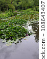 上澀井蓮花園 108643407