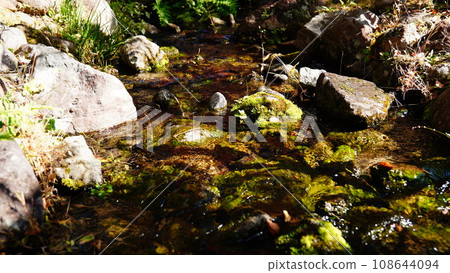 Moss and water flow Moss and water flow 108644094