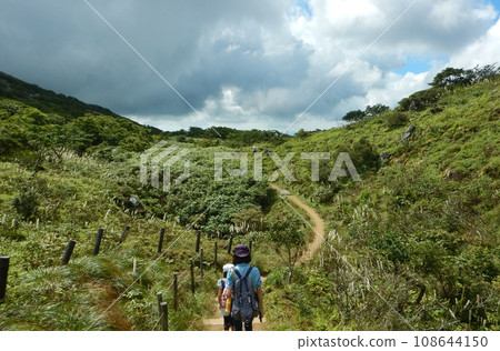 親子登山(伊吹山) 親子登山(伊吹山) 108644150