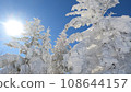 Juhyo - 長野縣的滑雪度假村 - 108644157
